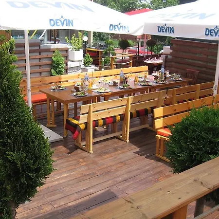 Hotel Vitoshko Lale 3*